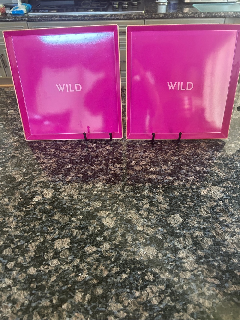 CELEBRATE IT PIBJ JUNGKE WILD SQUARE MELAMINE TRAY 11x11  LOT OF 2 NWT